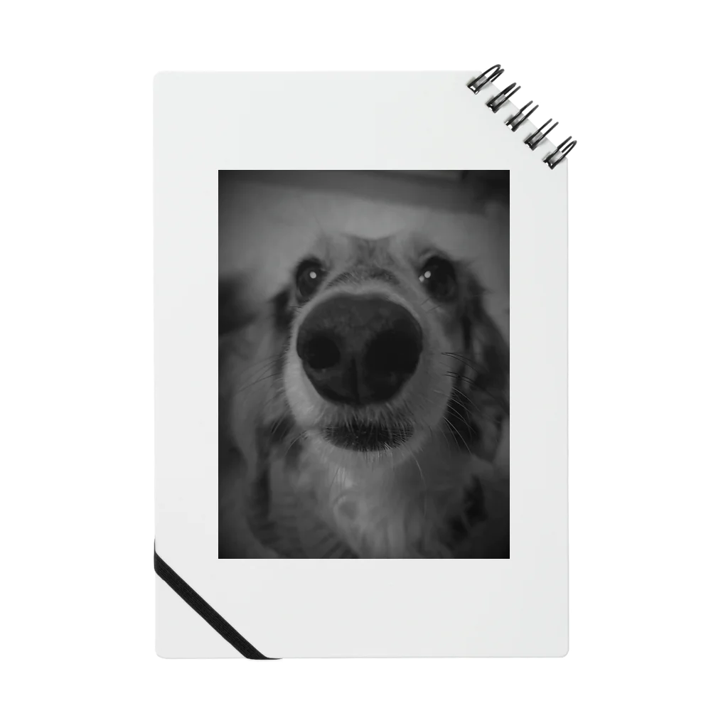 犬、猫　プリントの鼻ﾃﾞｶわんこ Notebook