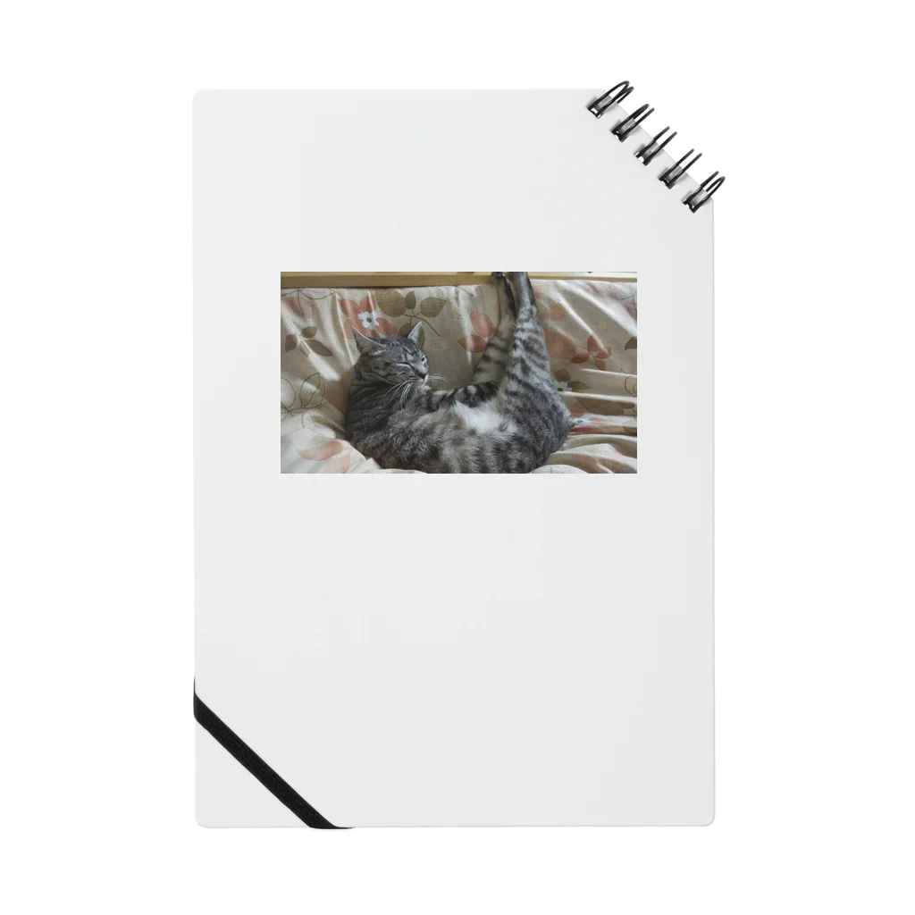 KtodaeのUねこ Notebook