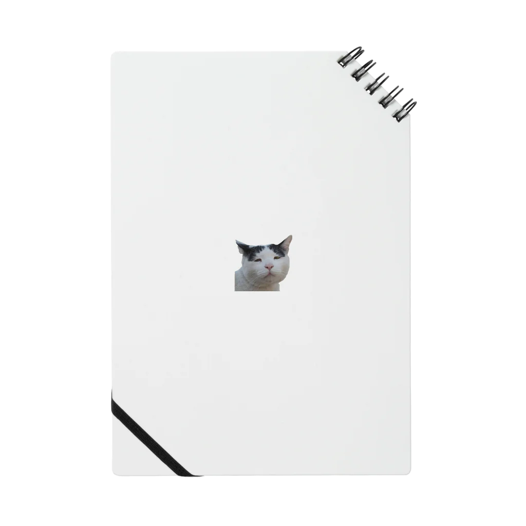 fukayanのブサかわ猫　ベン Notebook