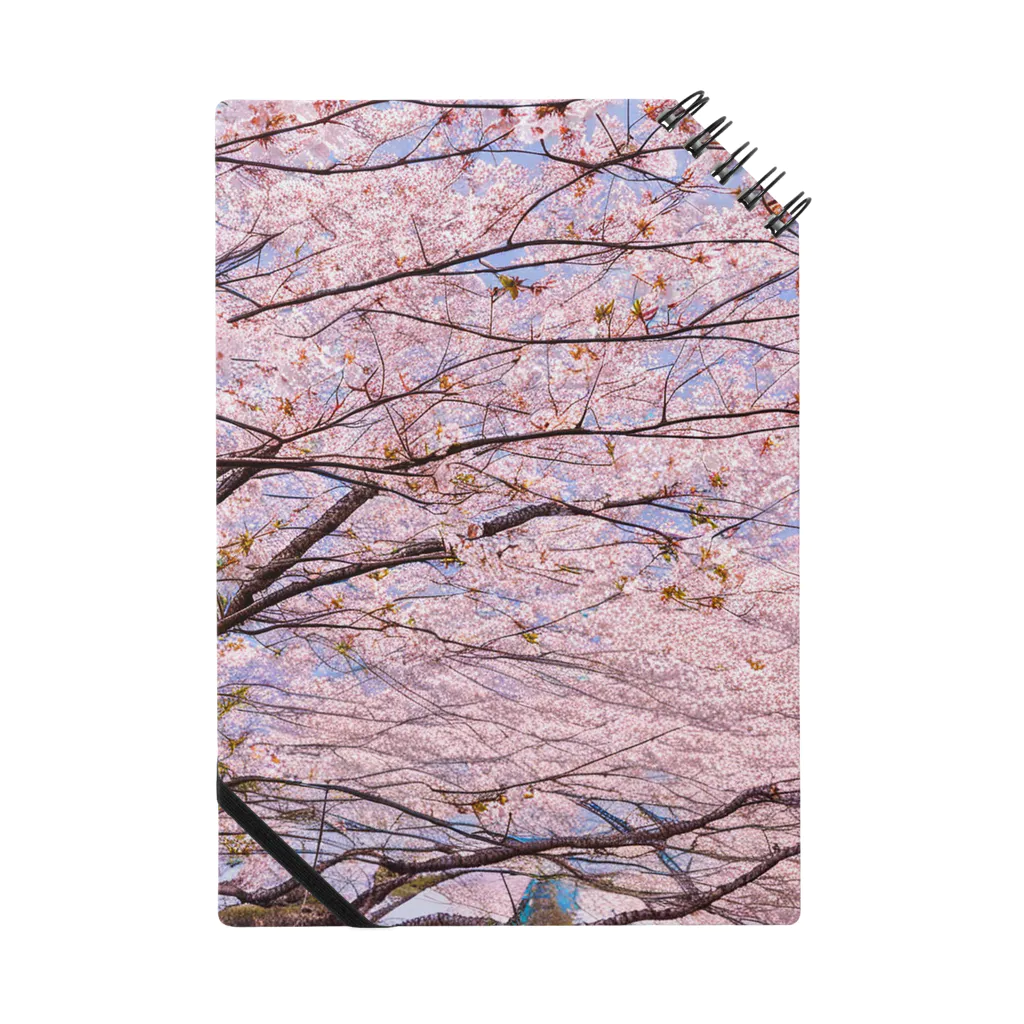 辺賦志ショップの美しき桜 ノート