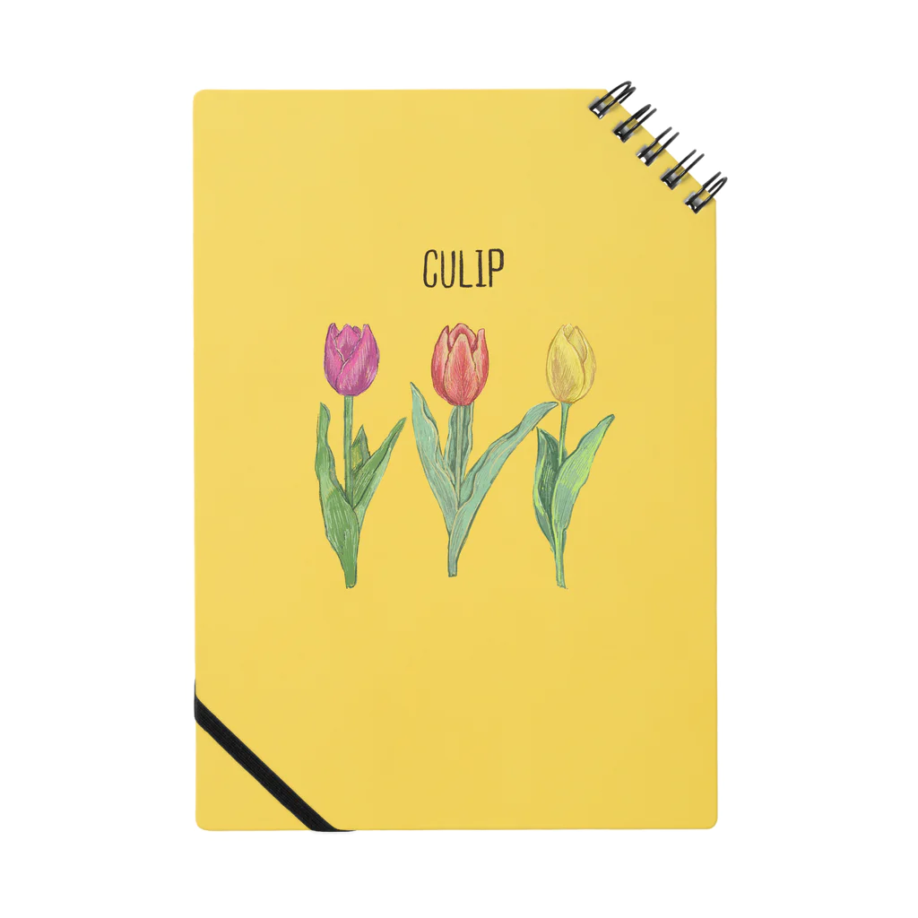 ﾆｼｻｺ ﾒｲのTULIP Notebook