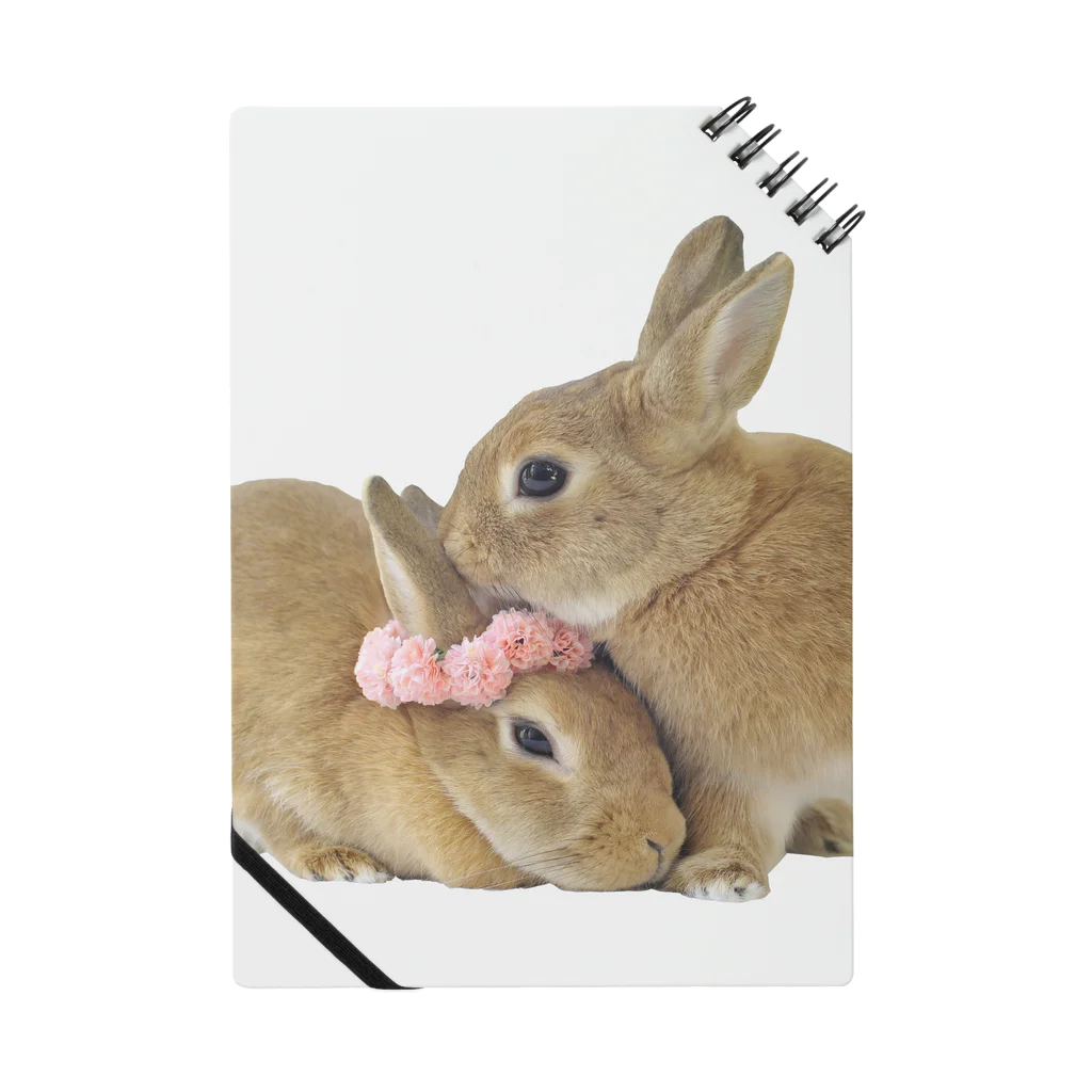 くわこやのシャッキー・なっちゃん🐰💓🐰キス ノート