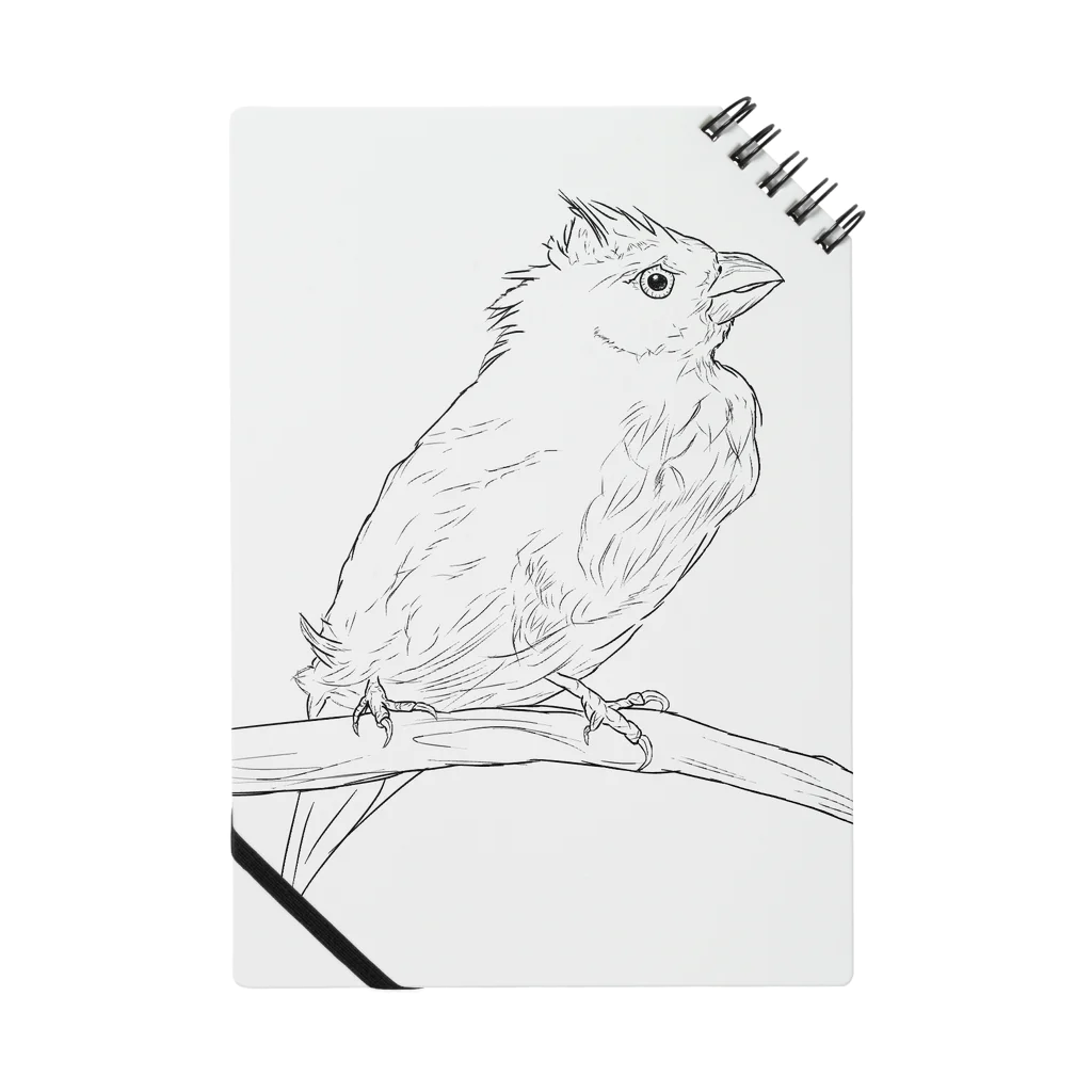 Lily bird（リリーバード）の水浴び文鳥 Notebook