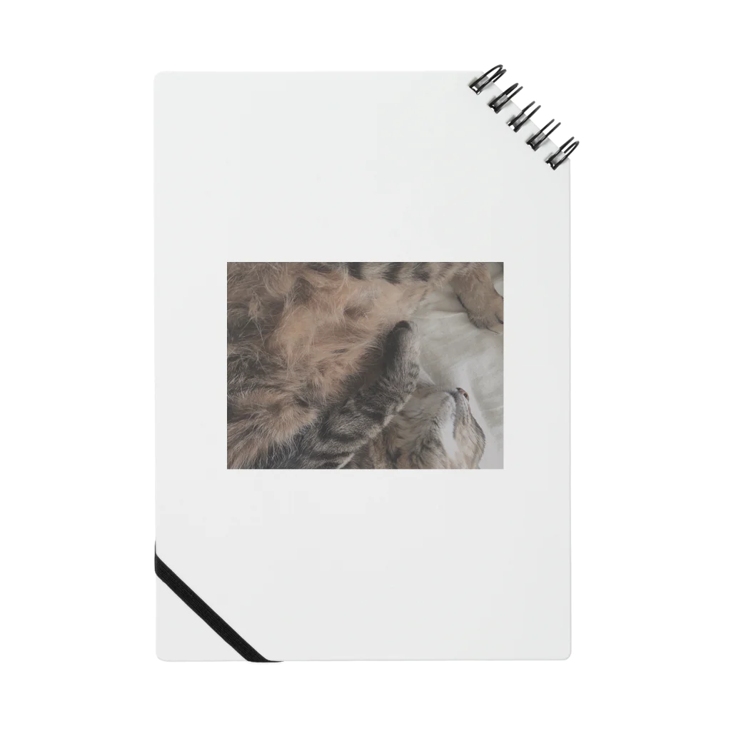 numatarouのうちの猫 Notebook