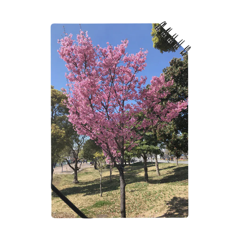 お花畑の桜 Notebook