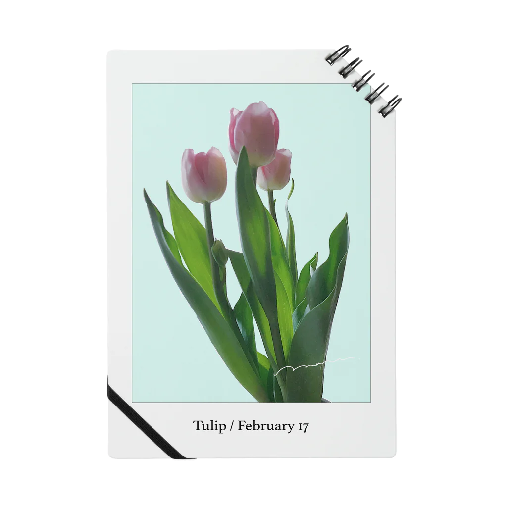 FUJIMARUのTulip / pink blue Notebook