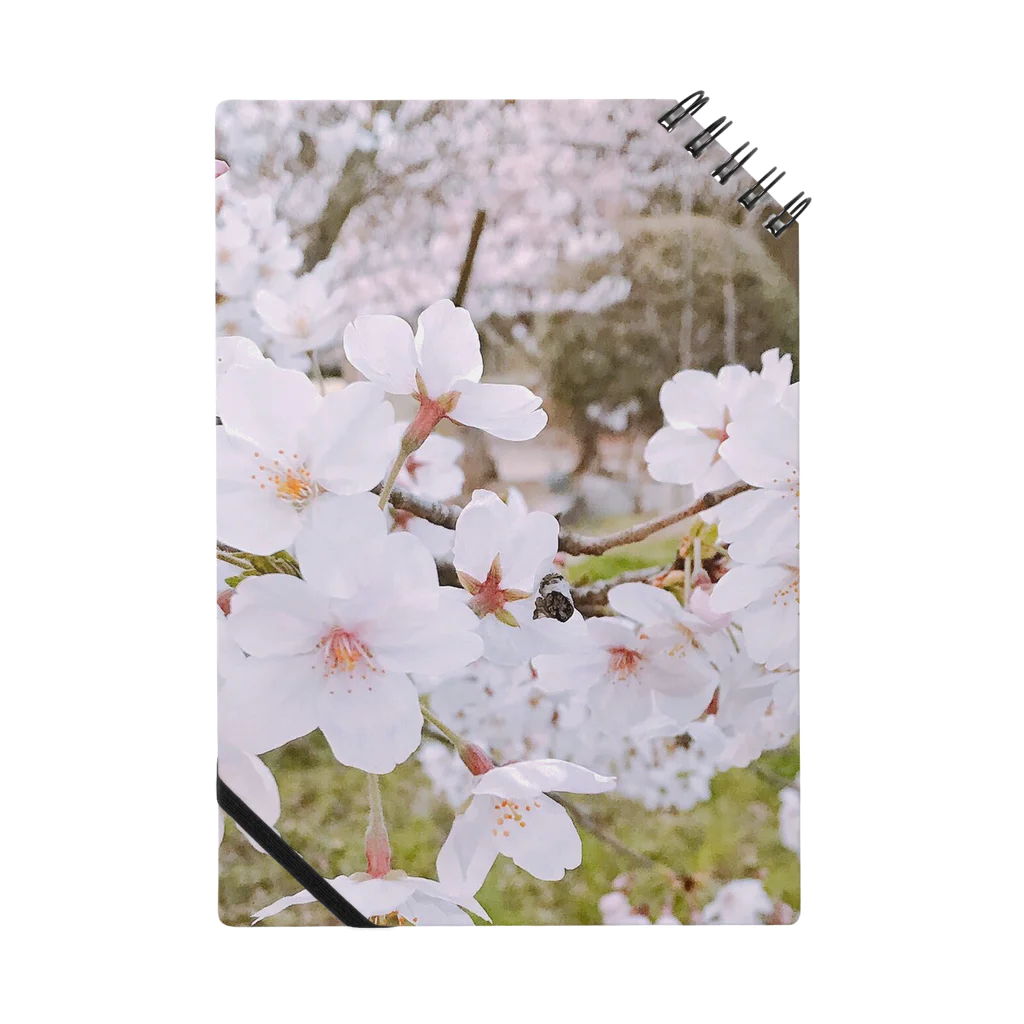 たのしくかいてきに！の桜 Notebook