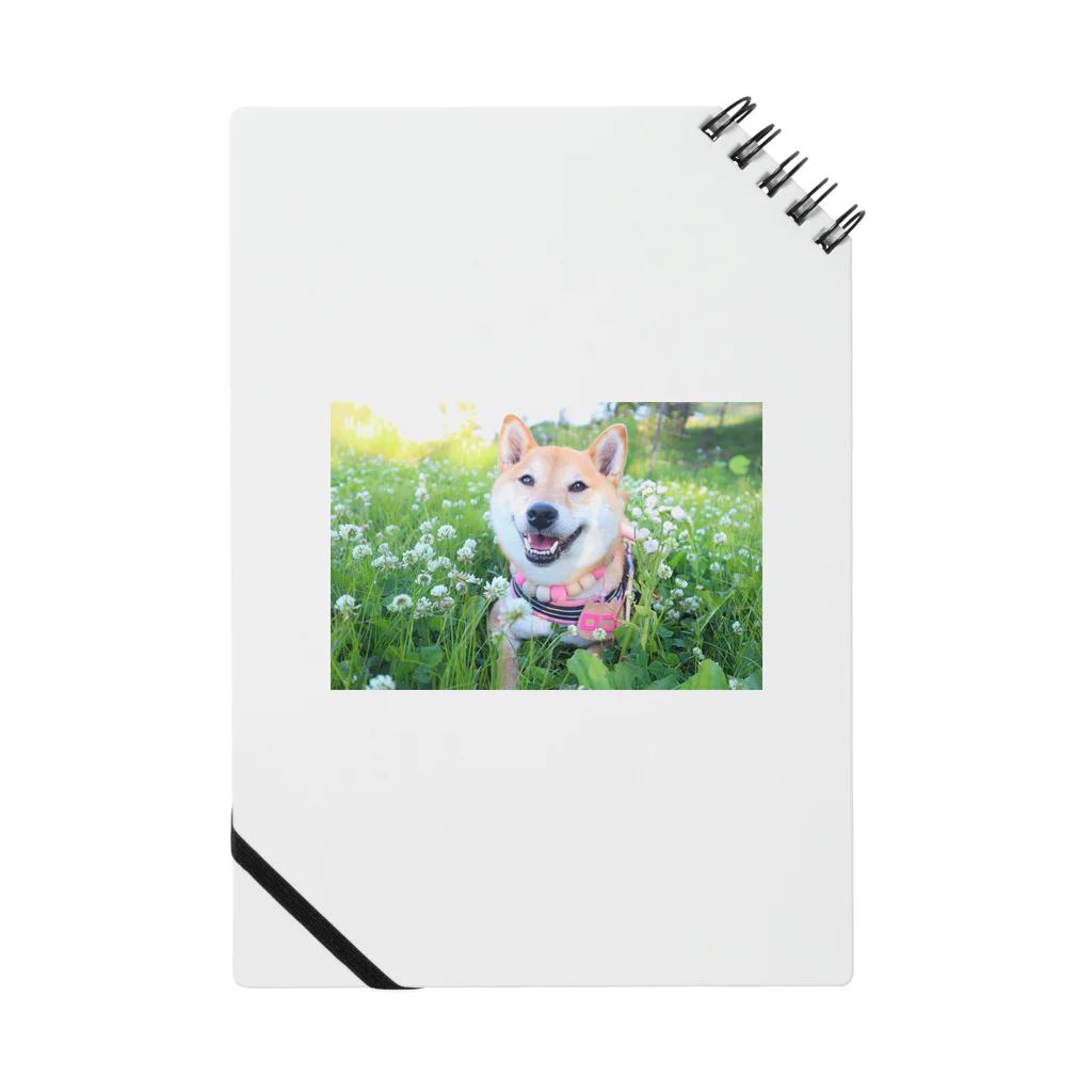 shibainu_rocoの柴犬ロコ Notebook