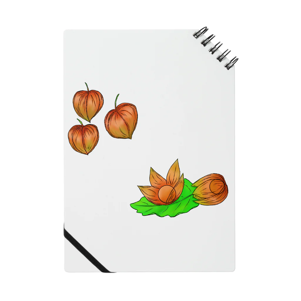 Lily bird（リリーバード）のホオズキ ノート