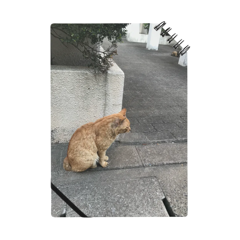 アレのアレの猫は見たのを見た Notebook