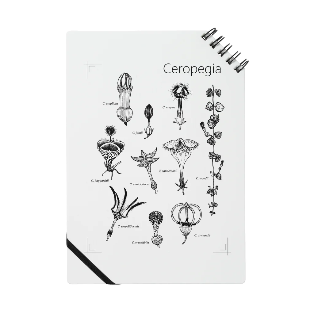 DOTEKKOのT-29 Ceropegia Notebook