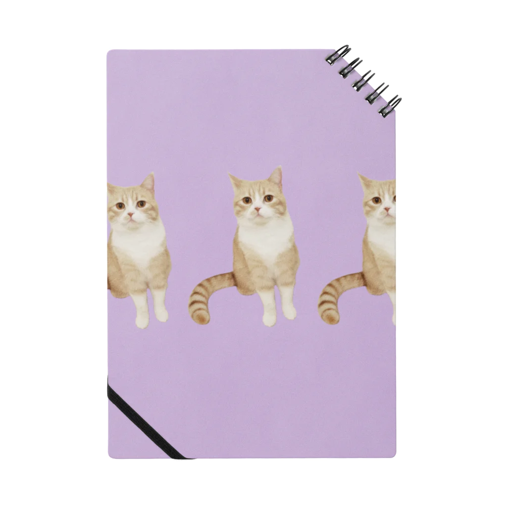 藤(fuji)の分身する猫 Notebook