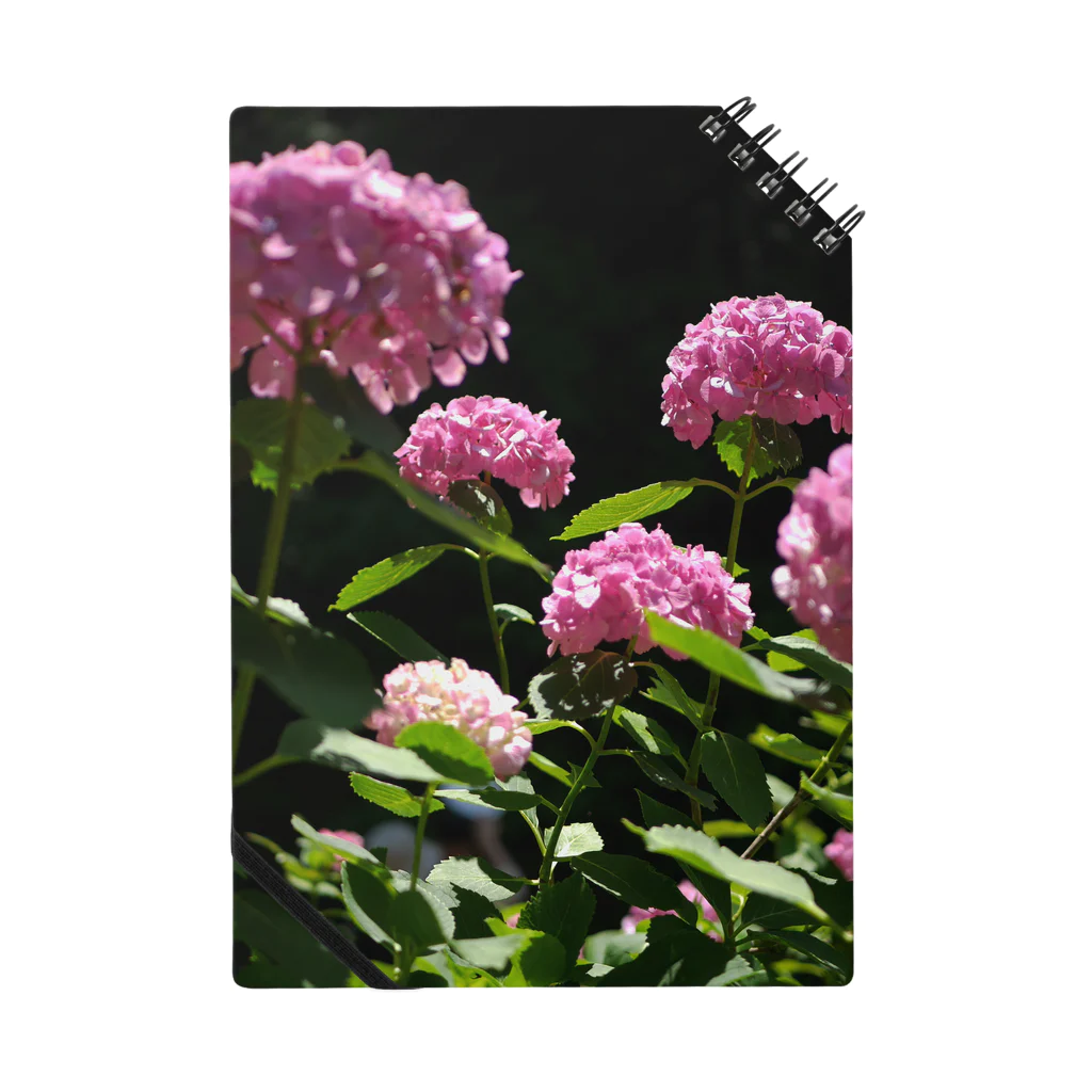 hikagemonoの赤い紫陽花 Notebook