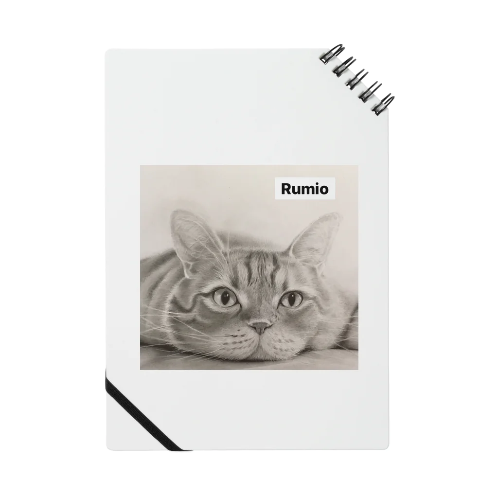 RumioのKantaro Notebook