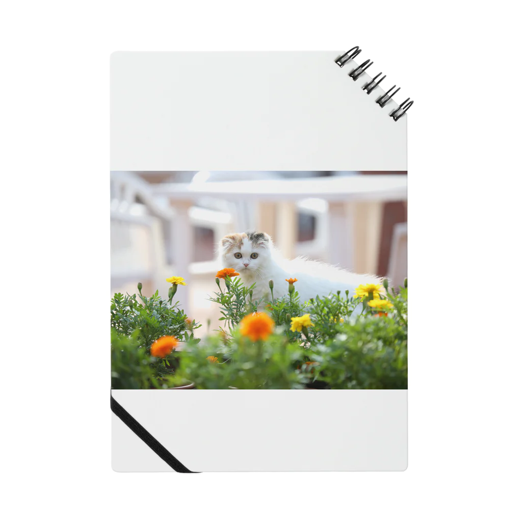 mkoijnのねこ Notebook