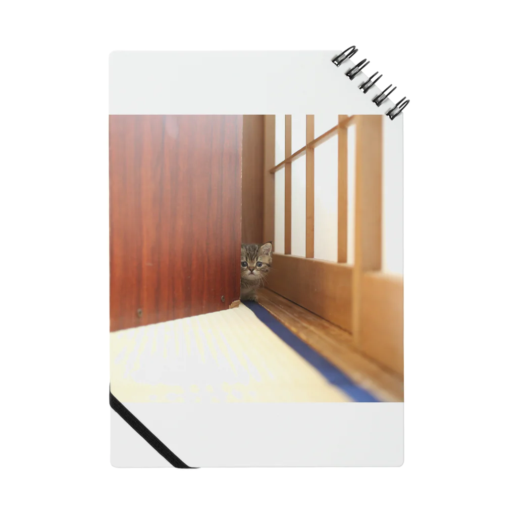 mkoijnのねこ ノート