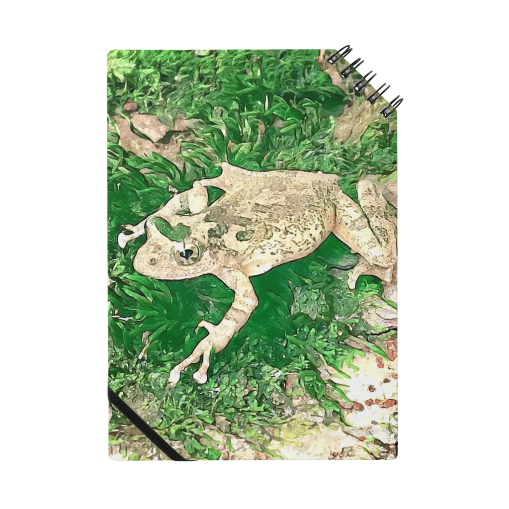 Fantastic FrogのFantastic Frog -Evergreen Version- Notebook
