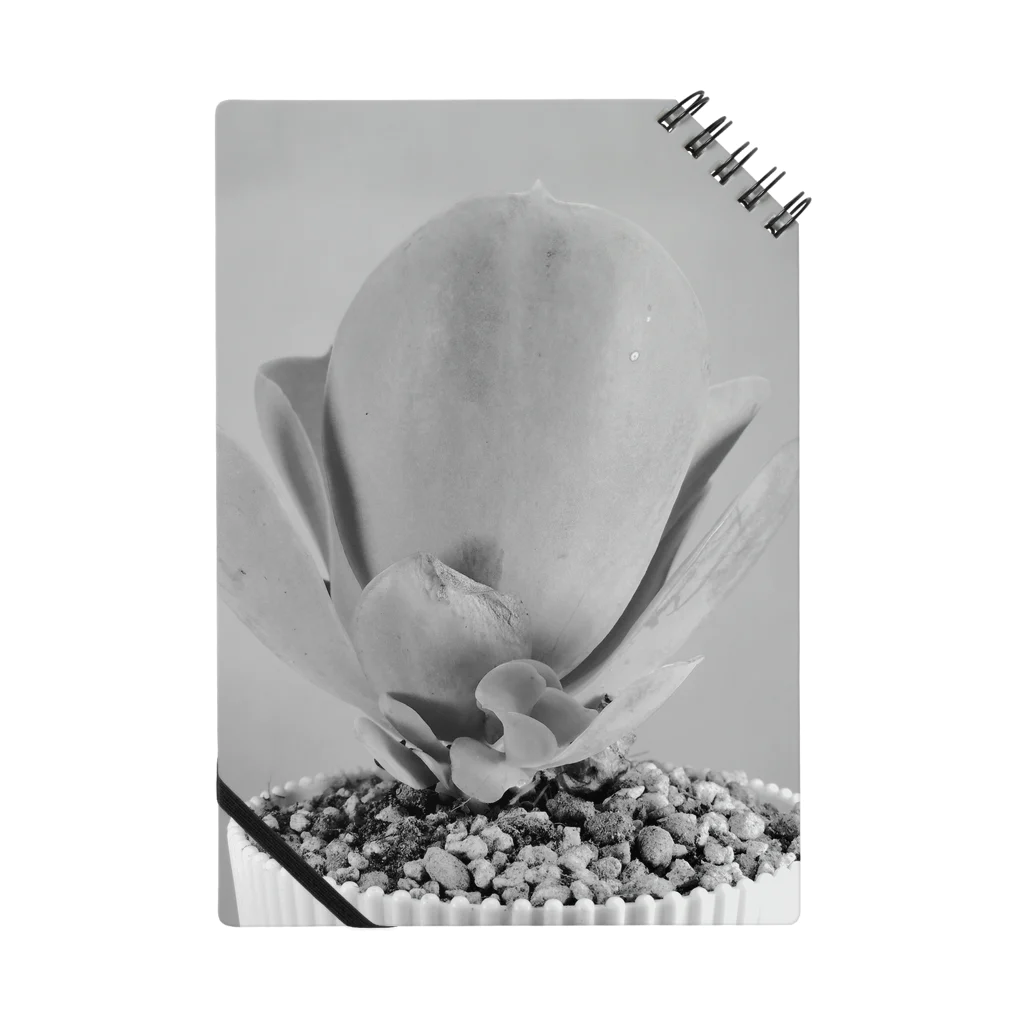 TANIKUDO by DJ.Plugmaticsの多肉植物A black and white Notebook