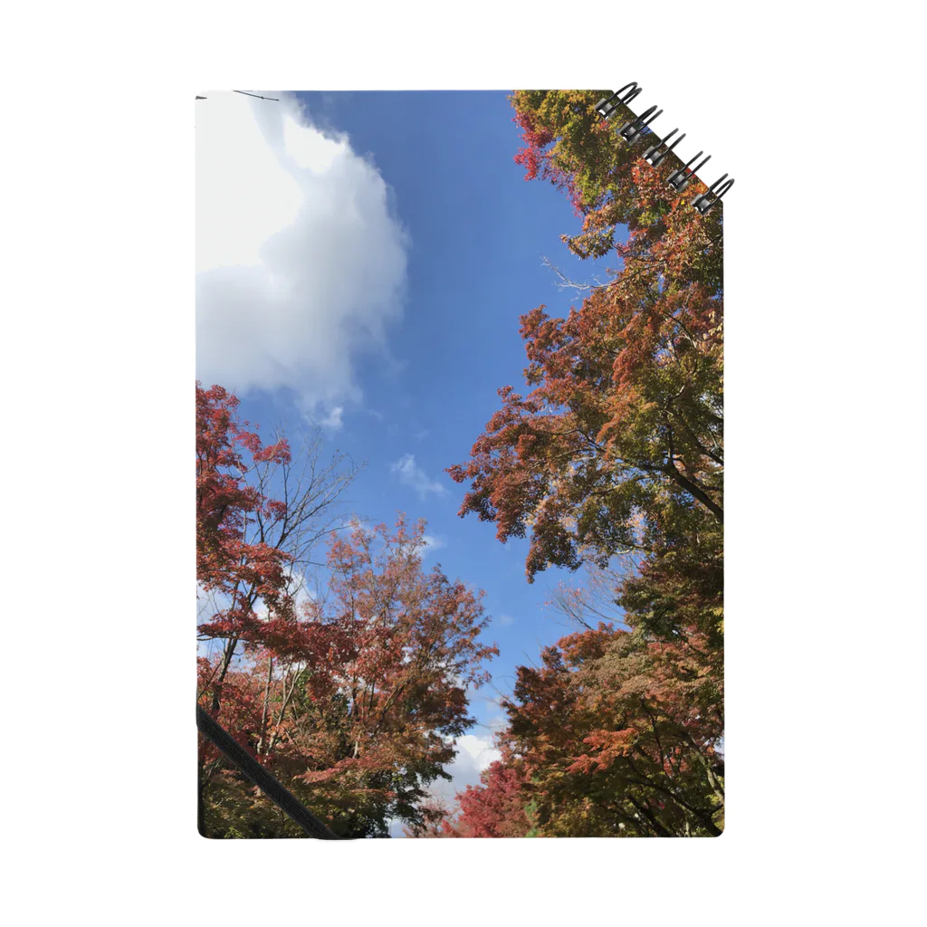 スケルトンの秋の景色 ノート