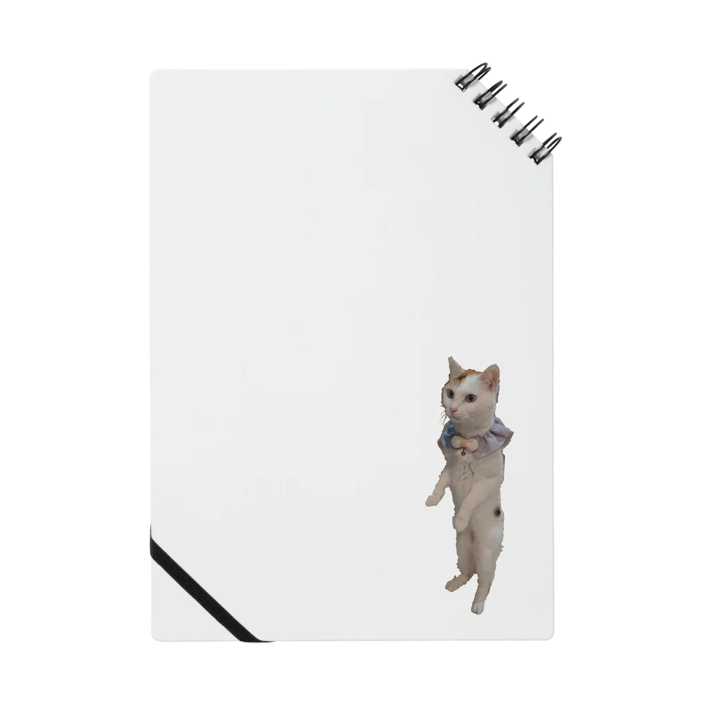 りずママの立ち猫華っち Notebook