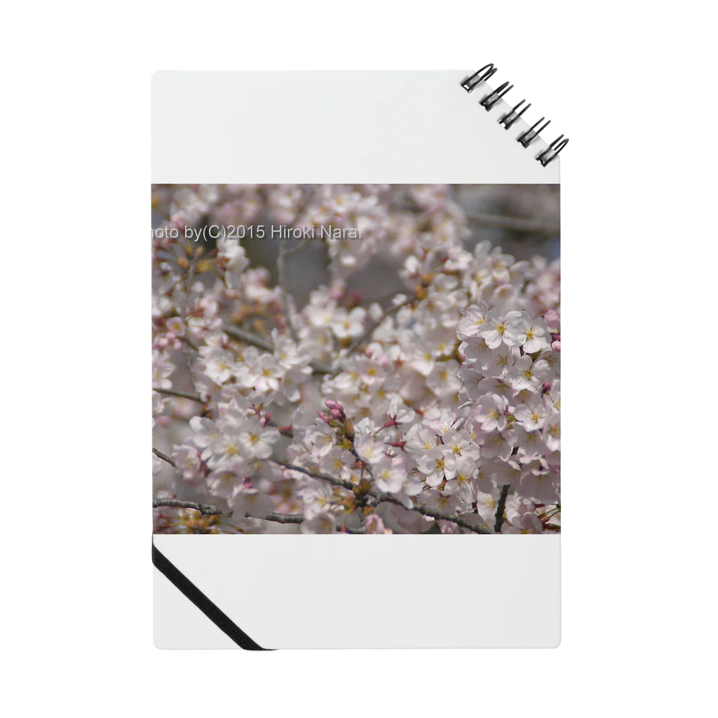 hiroki-naraの光景　sight0053　桜　2015_009　サクラ ノート