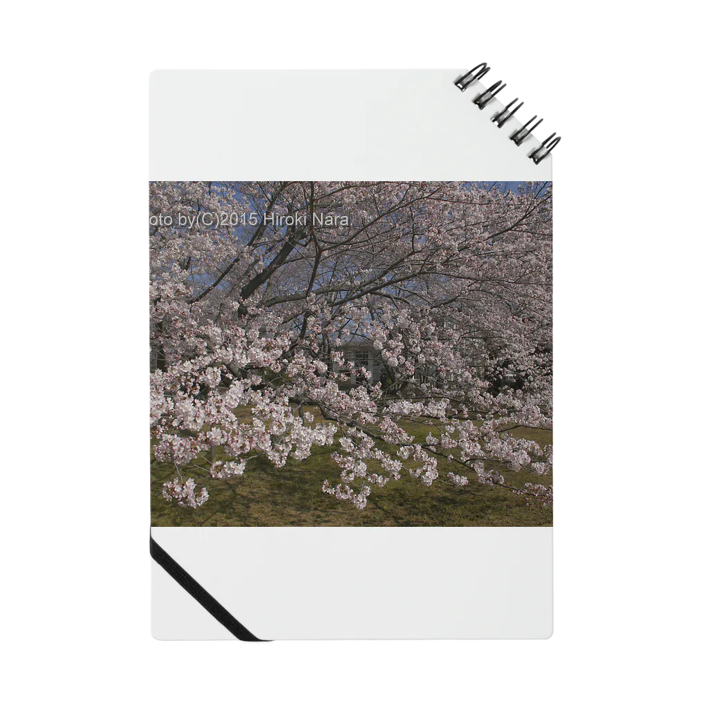 hiroki-naraの光景　sight0054　桜　2015_010　サクラ Notebook