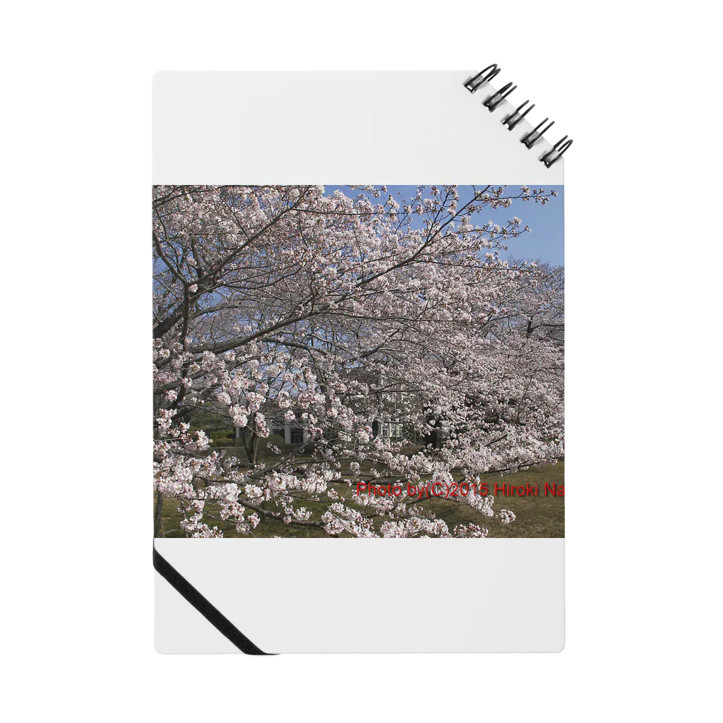 hiroki-naraの光景　sight0070　桜　2015_015　サクラ Notebook