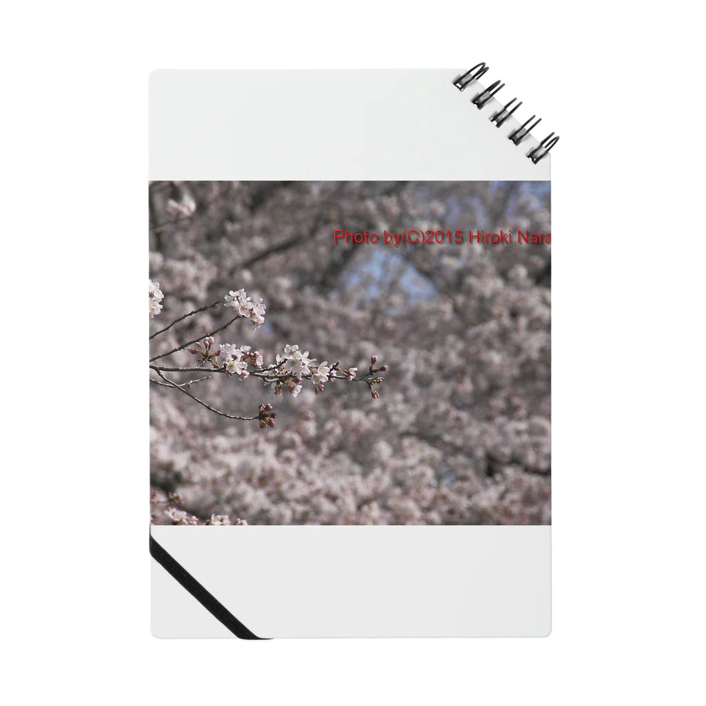 hiroki-naraの光景　sight0071　桜　2015_016　サクラ  ノート