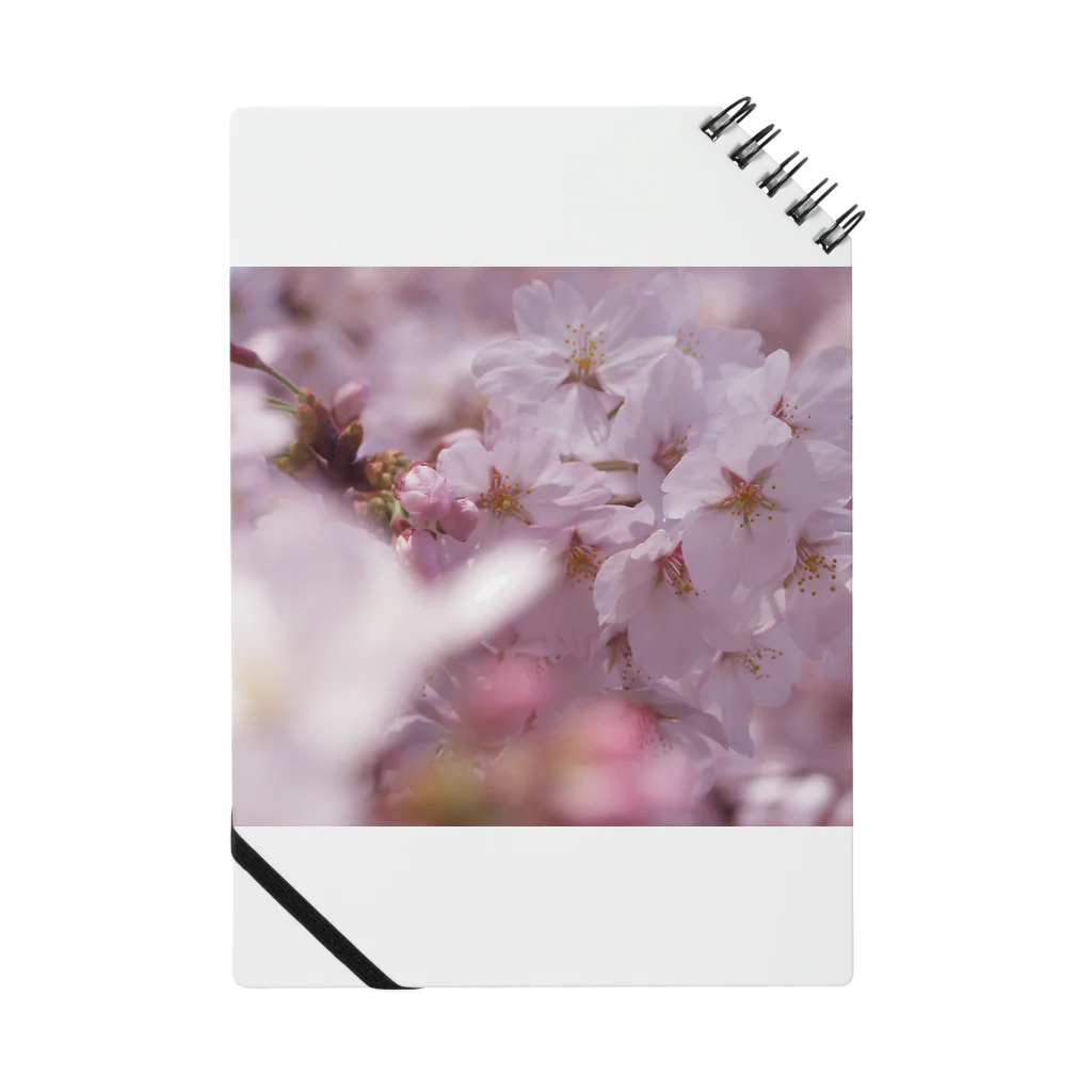 hiroki-naraの桜　サクラ　cherry blossom DATA_P_091 Notebook