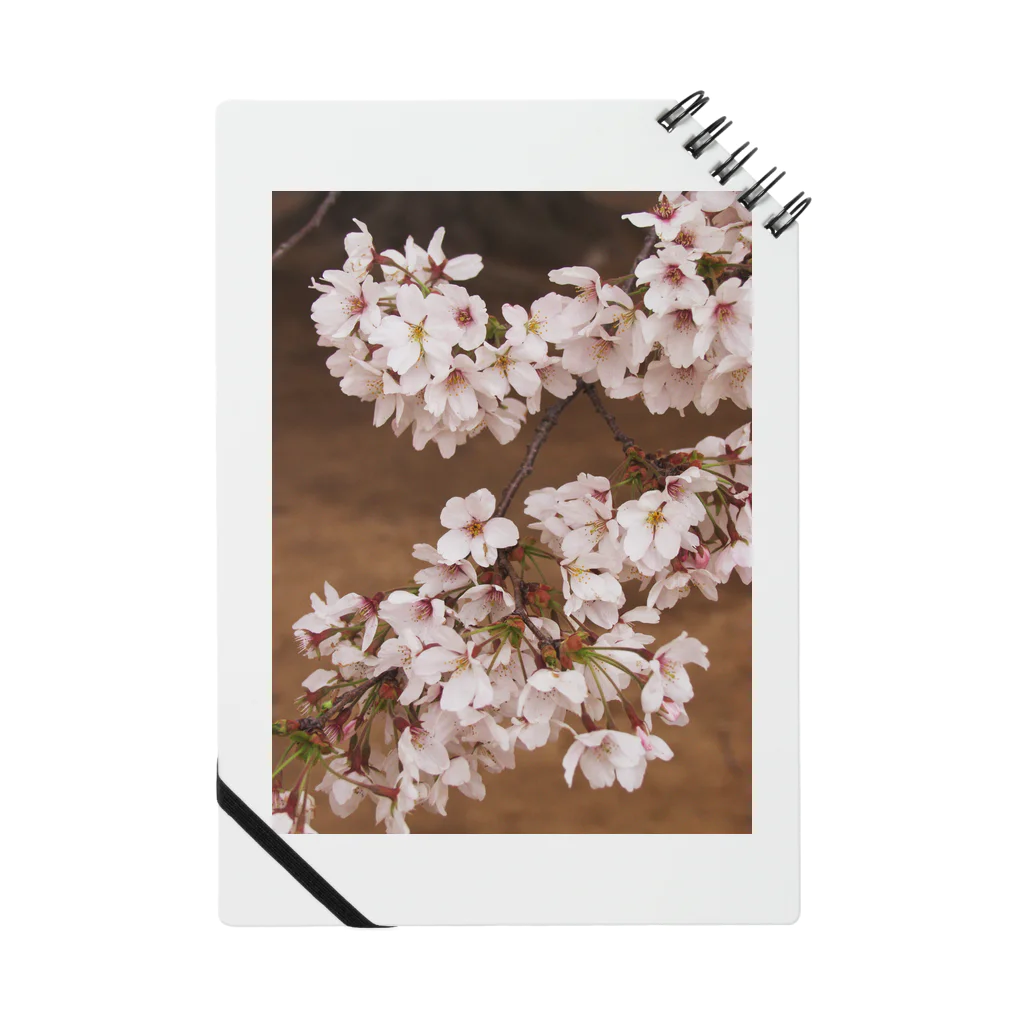 hiroki-naraの桜　サクラ　cherry blossom DATA_P_106 Notebook