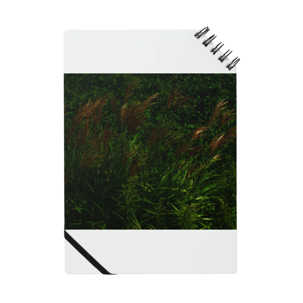 hiroki-naraのススキ　japanese pampas grass Notebook