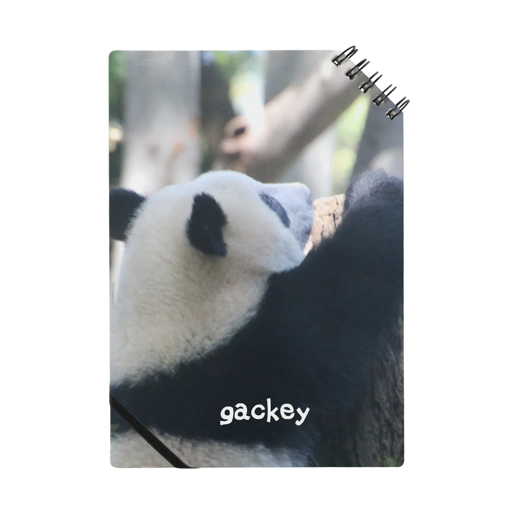 gackeyの背伸び PANDA ノート
