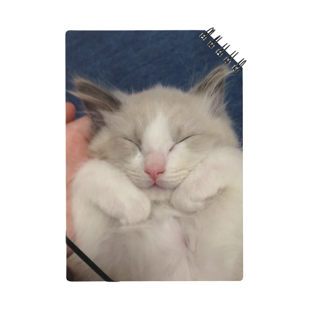 makinboの眠るねこ。ちびつみれ Notebook