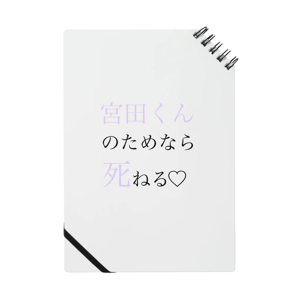 ℝの狂信者 Notebook