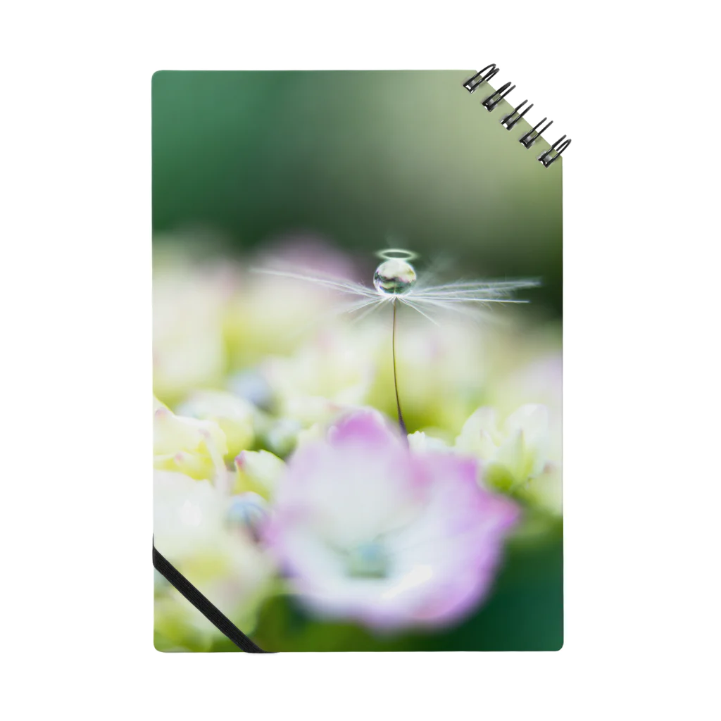 PhotoAtelier Aileのangel of hydrangea 170603 Notebook