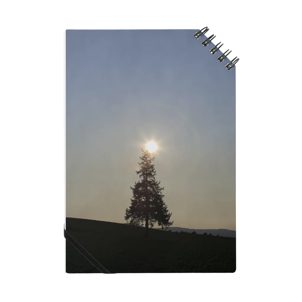 ミシンベアの木の天辺にヒカリ ノート