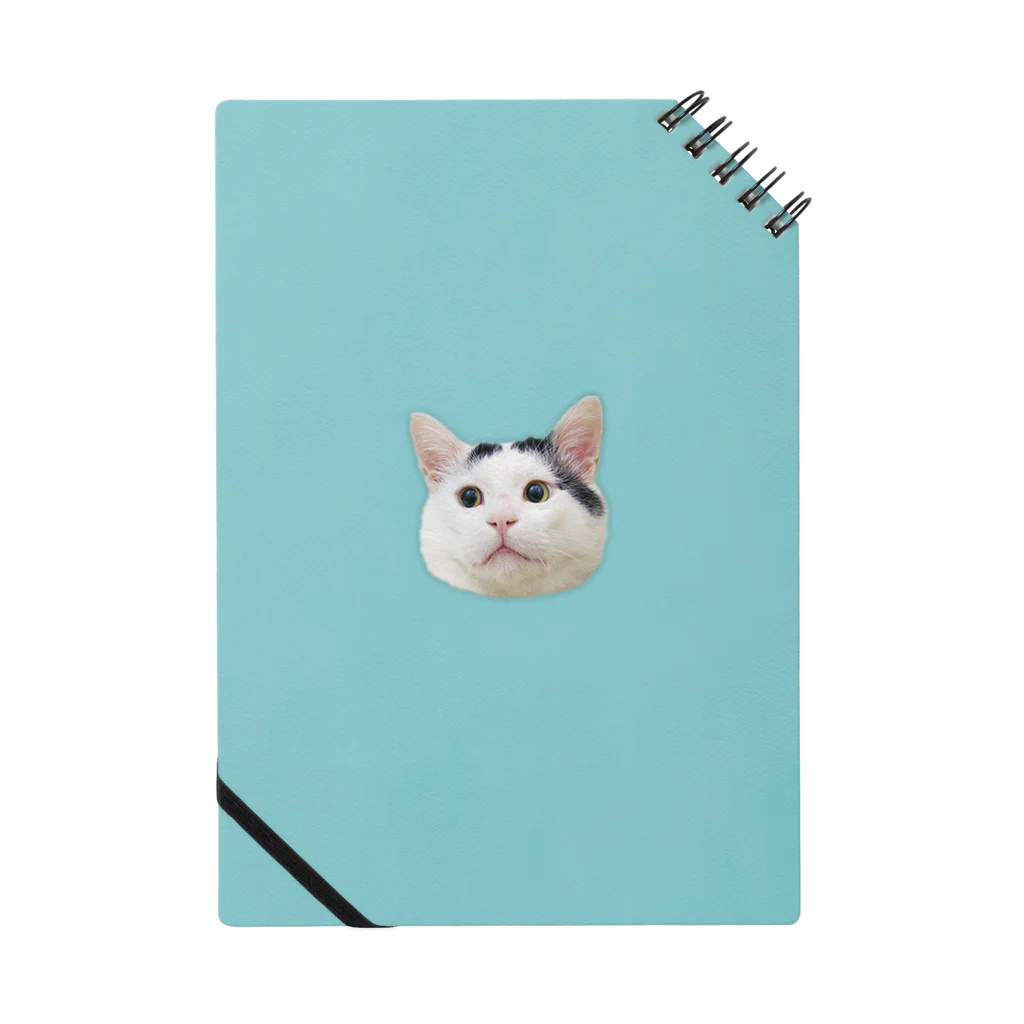 うちの猫ら　2号店のナナクロ Notebook