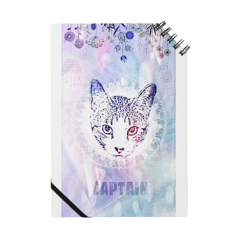 CAPTAIN_CATのオハナバタケ_catph Notebook