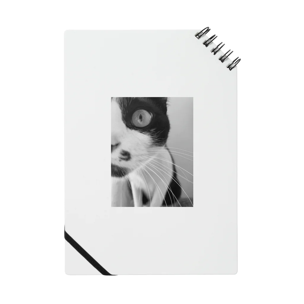 meow-mewの猫   Yuki★neko Notebook