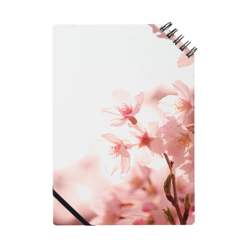 M.F.Photoの薄桜 Notebook
