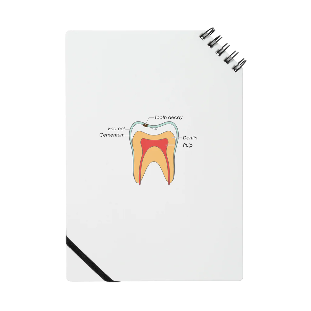 塩男のTooth mania ノート