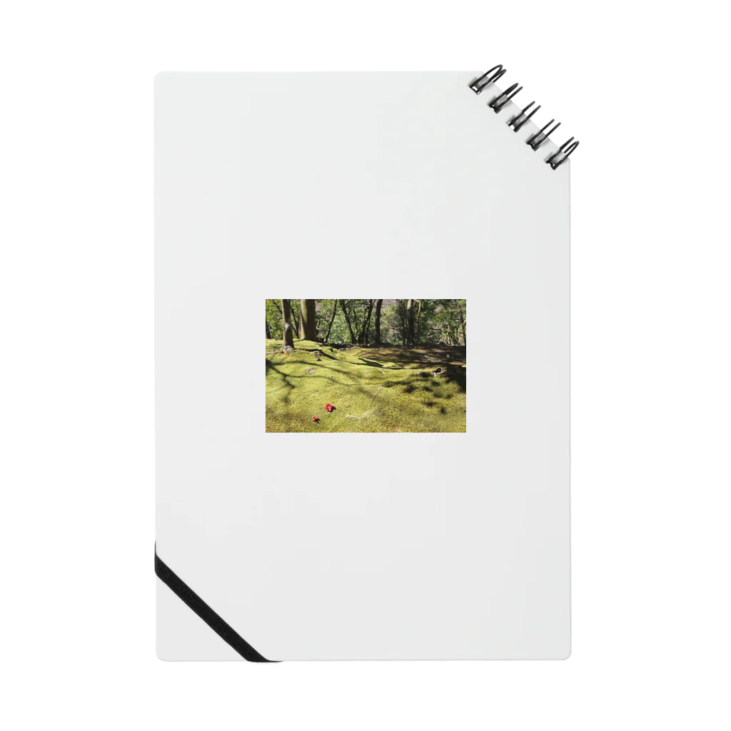 Photoshopの苔萌え Notebook