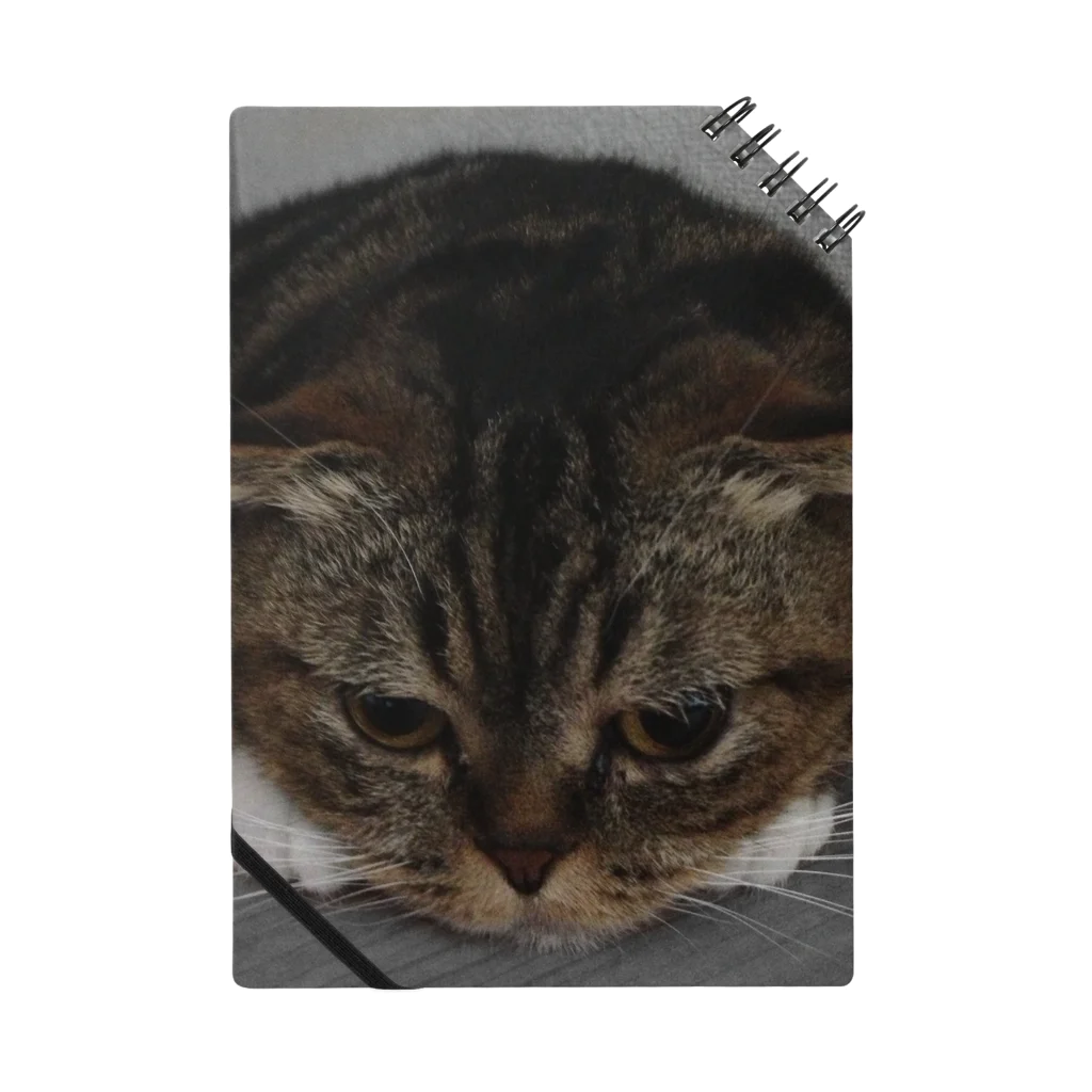 momocoの愛猫momocoのお願い Notebook
