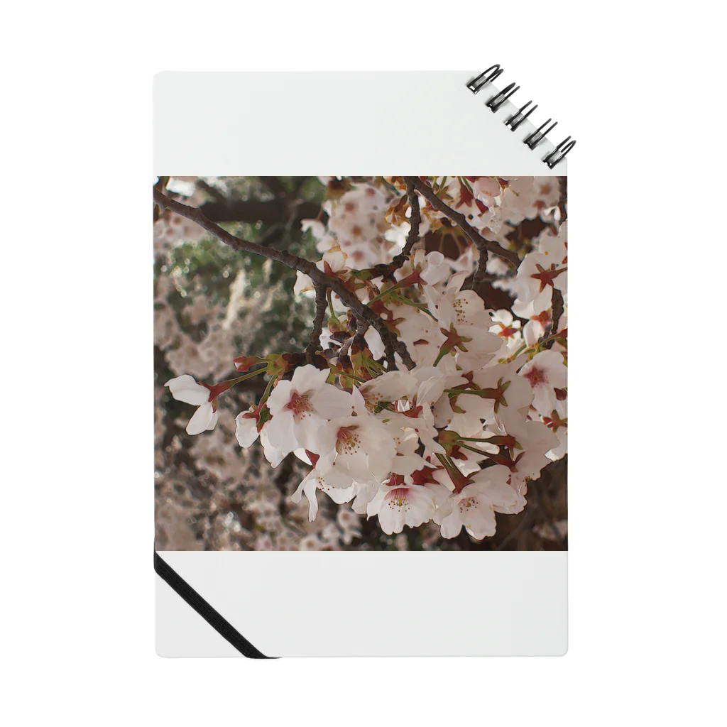 hiroki-naraの桜　サクラ　cherry blossom DATA_P_152　春　spring ノート