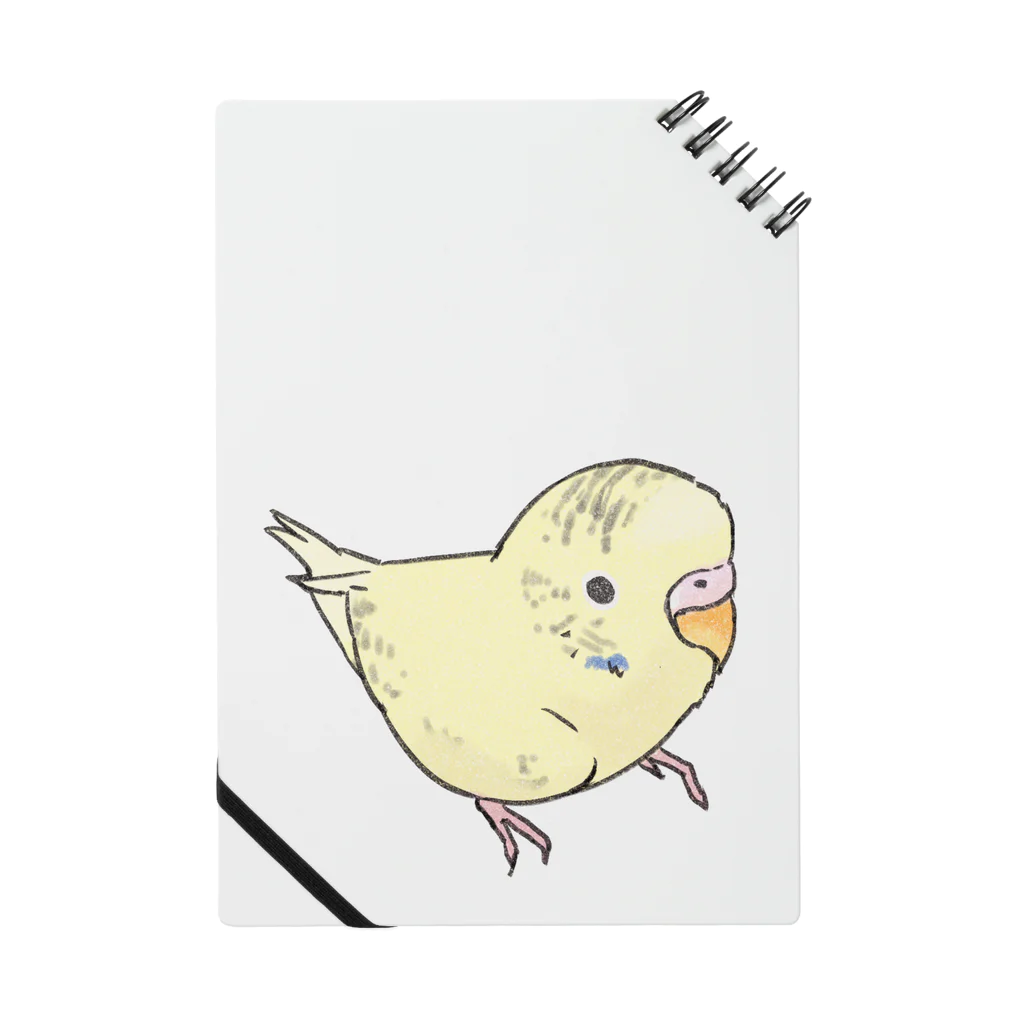 まめるりはことりの可愛いセキセイインコ　おすましちゃん【まめるりはことり】 Notebook