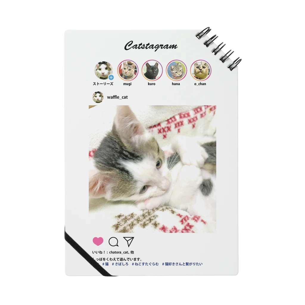 アトリエかののCatstagram　猫写真UPしたよ！ ノート