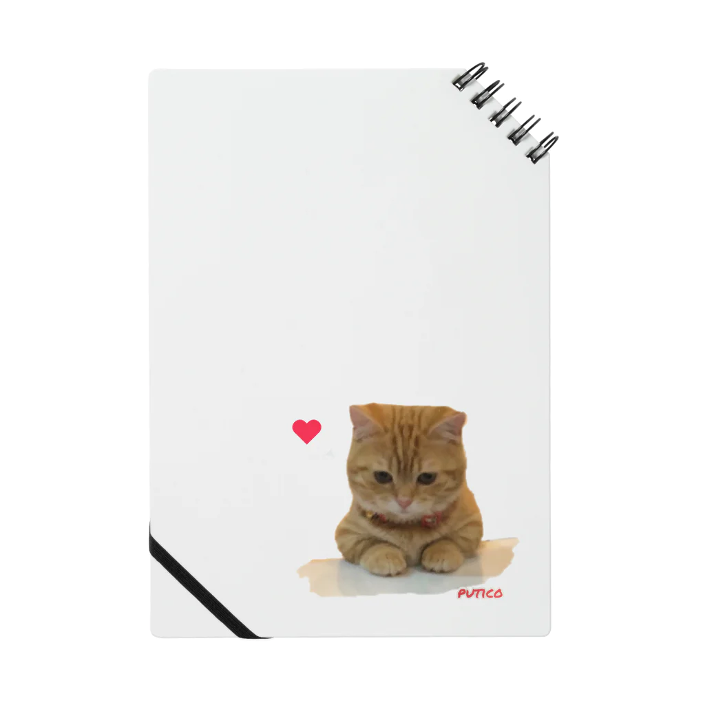 ぷっちょ🐈の見守りぷてぃこ Notebook