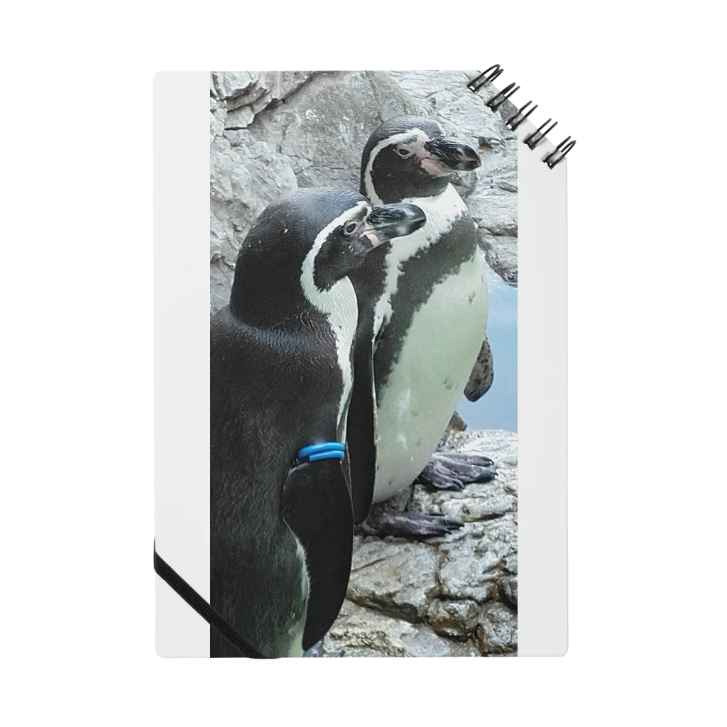 天然極楽鳥のペンギン兄弟 Notebook