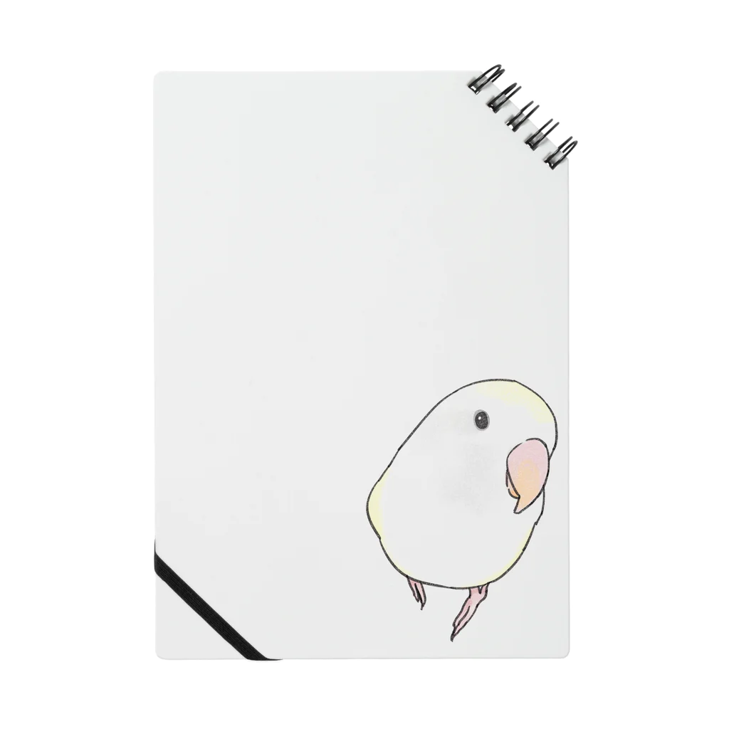 まめるりはことりのコザクラインコ　バイオレットパイドちゃん【まめるりはことり】 Notebook