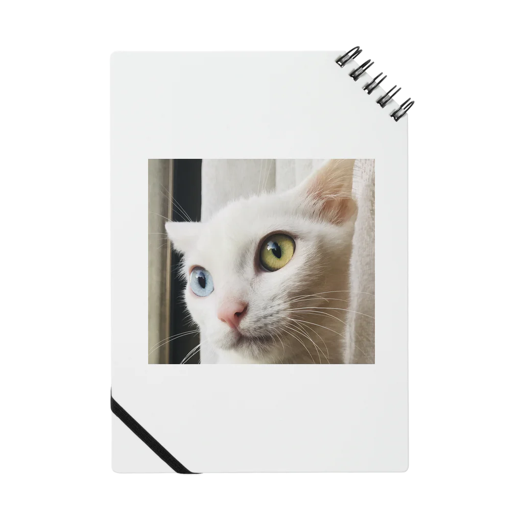 ほのぼのライフの白猫マリー Notebook